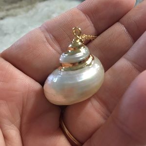 **sold** nwt shell with dipped gold